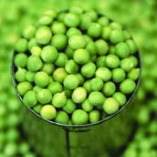 The Best Carbs for Weight Loss GLAMSQUAD MAGAZINE