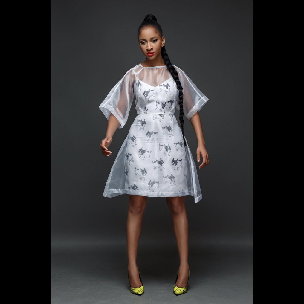 adesua