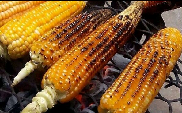 Roasted Corn 