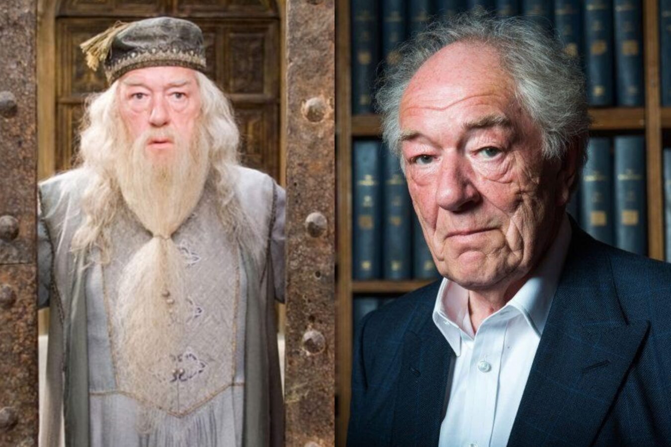 Harry Potter Actor Sir Michael Gambon Dumbledore Passes Away At 82