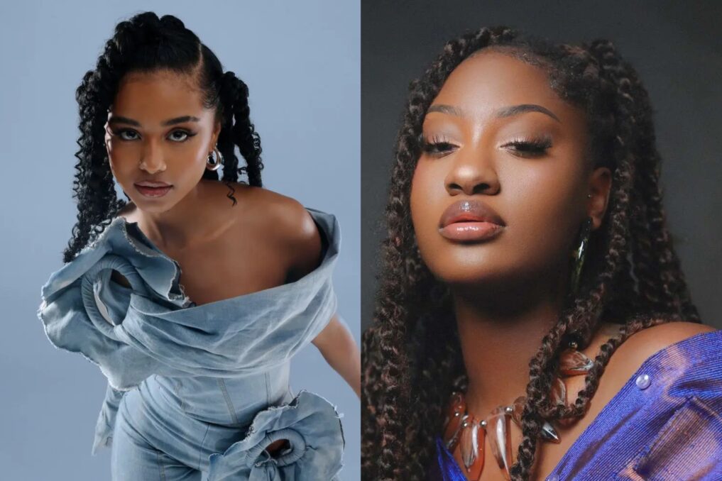 Tems opened doors of global recognition for African female artists – Tyla