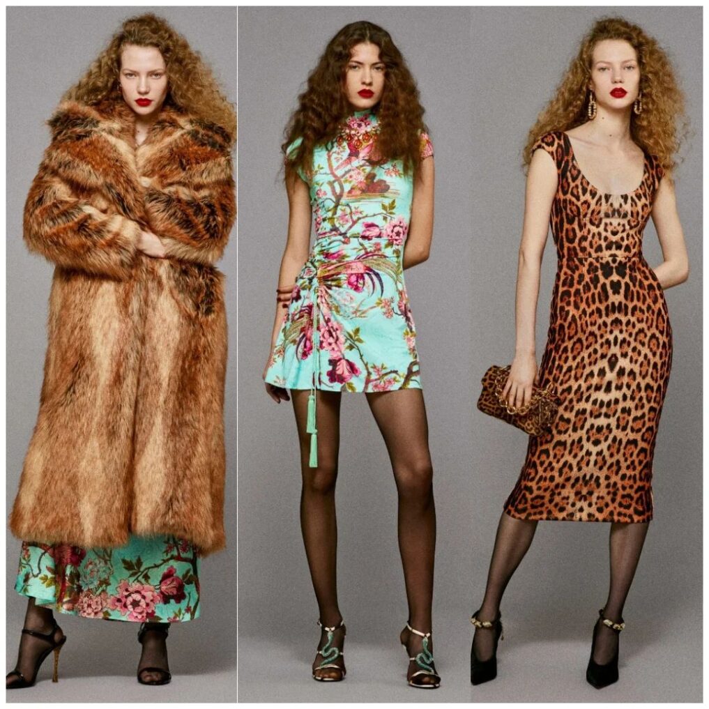 Lookbook: Roberto Cavalli Pre-Fall 2025 Collection